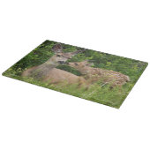 Mule Deer Doe met Fawn Snijplank (Hoek)