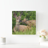 Mule Deer Doe met Fawn Vierkante Klok (Huis)