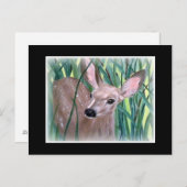 Mule Deer Fawn Briefkaart (Voorkant / Achterkant)