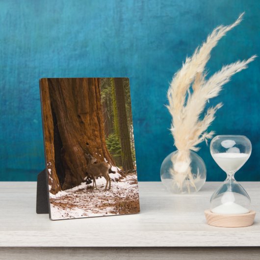 Mule Deer Fotoplaat (Zijkant)