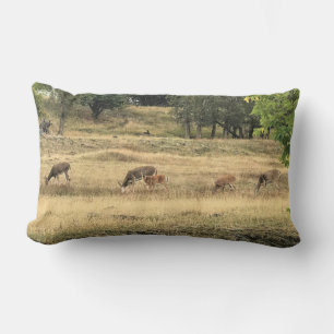 Mule Deer in a Field, Joseph, Oregon Kussen