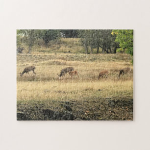 Mule Deer in een veld Legpuzzel