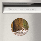 Mule Deer Magneet (Insitu (Vaatwasser))