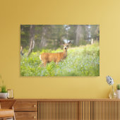 Mule Deer (Odocoileus hemionus) in de weide Canvas Afdruk (Insitu (Woonkamer))