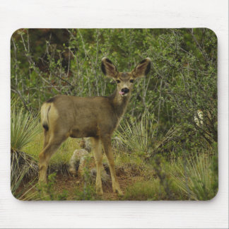 Mule Deer Raspberry Muismat