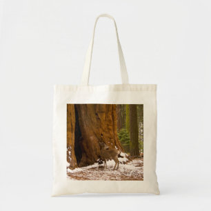 Mule Deer Tote Bag