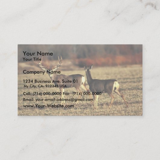 Mule Deer Visitekaartje (Voorkant)