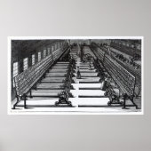 Mule draaien poster (Voorkant)