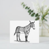Mule Drawing, Stubborn Briefkaart (Staand voorkant)