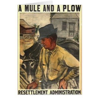 Mule en Plough 1935