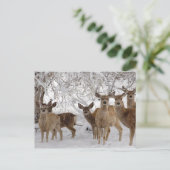Mule Herten in Sneeuw Feestdagenkaart (Staand voorkant)