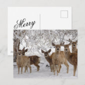 Mule Herten in Sneeuw Feestdagenkaart (Voorkant / Achterkant)
