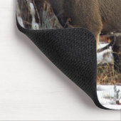 Mule herten,wellsville muismat (Hoek)