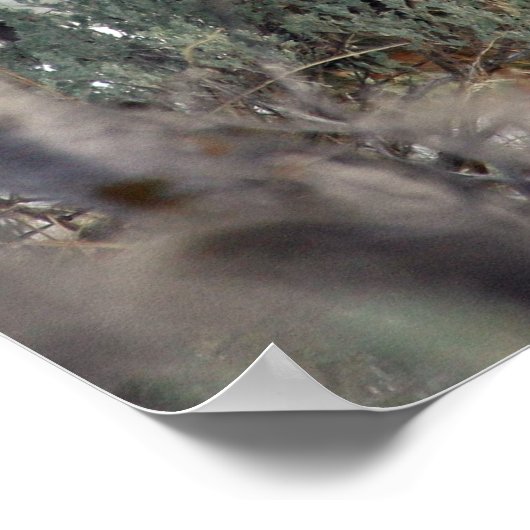 Mule-hertenAfbeelding,4 Poster (Hoek)