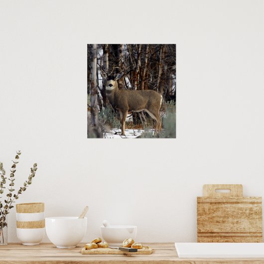 Mule-hertenAfbeelding,4 Poster (Keuken)