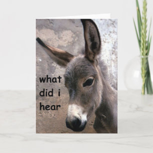 MULE-ISH 50th ADULT BIRTHDAY-HUMOR Kaart