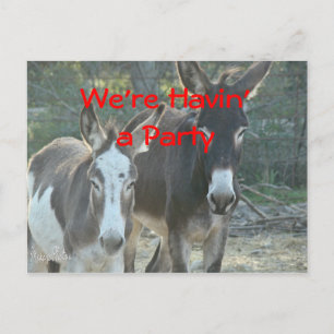 Mule Postcard-any-customize Briefkaart