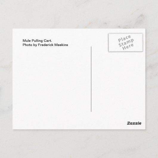 Mule Pulling Cart Briefkaart (Achterkant)