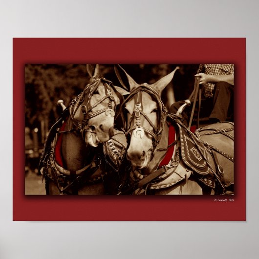 Mule Speak Poster (Voorkant)