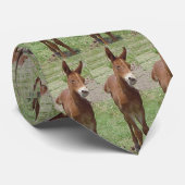 Mule Stropdas (Opgerold)