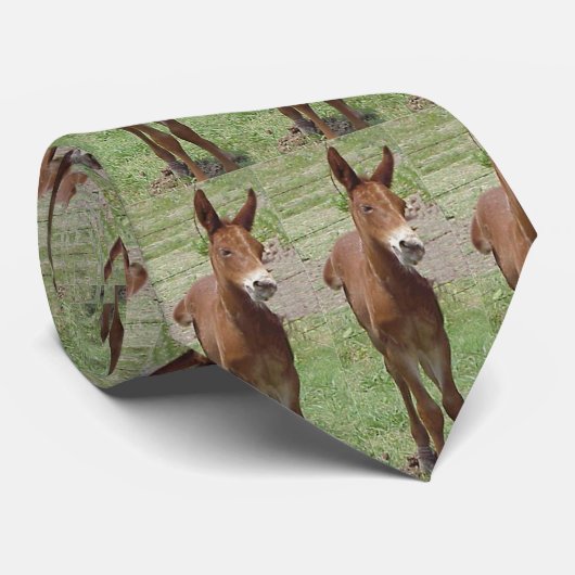 Mule Stropdas (Opgerold)