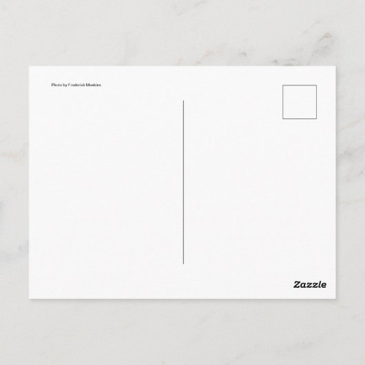 Mule Team Briefkaart (Achterkant)