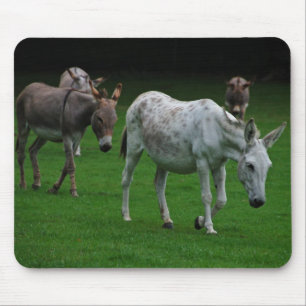 Mules en Donkeys Mousepad Muismat