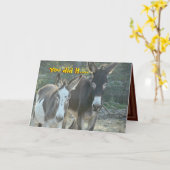 Mules Jubileum kaart- aanpassen van elke gelegenhe Kaart (Gele Bloem)