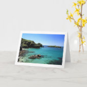 Mullion Cove Kaart (Gele Bloem)