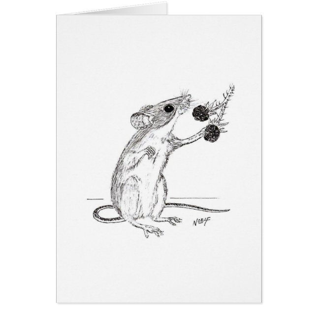 Mulot et mûres (Devant)