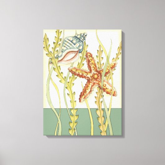 Multi-Color Shell Party Canvas Afdruk (Voorkant)