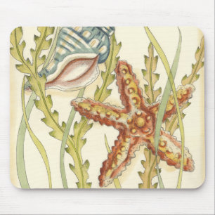 Multi-Color Shell Party Muismat