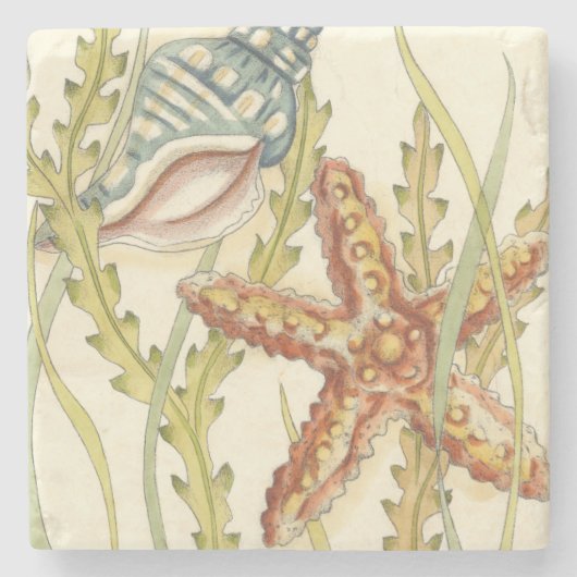 Multi-Color Shell Party Stenen Onderzetter (Voorkant)