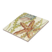 Multi-Color Shell Party Tegeltje (Zijkant)