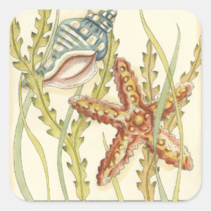 Multi-Color Shell Party Vierkante Sticker