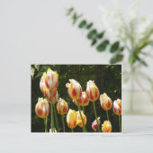 MULTI COLORED TULIPS BRIEFKAART (Staand voorkant)
