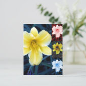 Multi Flower - Carte postale Florale (Debout devant)