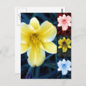 Multi Flower - Carte postale Florale (Devant / Derrière)