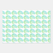 Multi Kleur Groen Nautilus Shell Inpakpapier Vel (Voorkant)