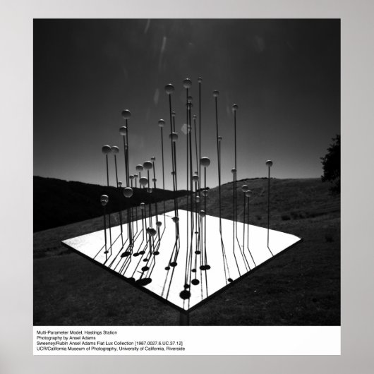 Multi-Parameter Model, Hastings, door Ansel Adams Poster (Voorkant)
