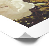 Multi Roses Floral Garden Photo Art Print Poster (Coin)