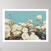 Multi Roses Floral Garden Photo Art Print Poster (Devant)