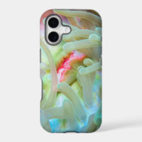 Multicolf Zee Anemone