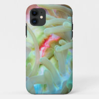 Multicolf Zee Anemone