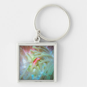 Multicolf Zee Anemone Sleutelhanger