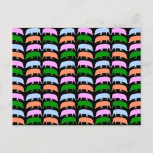 Multicolor Hogs Briefkaart