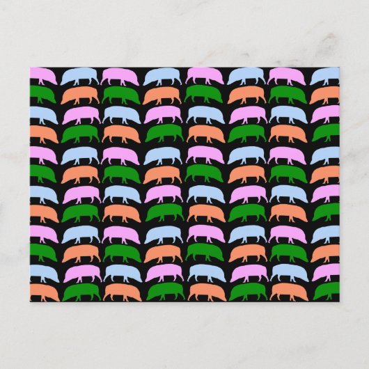 Multicolor Hogs Briefkaart (Voorkant)