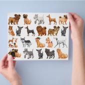 Multicolor Puppies Scrapbook Papier  Flyer (Hand)