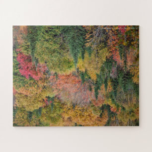 Multicolor Tree Puzzle Legpuzzel