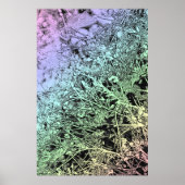 Multicolor Weeds Poster (Voorkant)